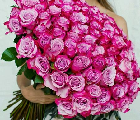 Букет из 101 розовой розы "Дип Перпл" (60 см)