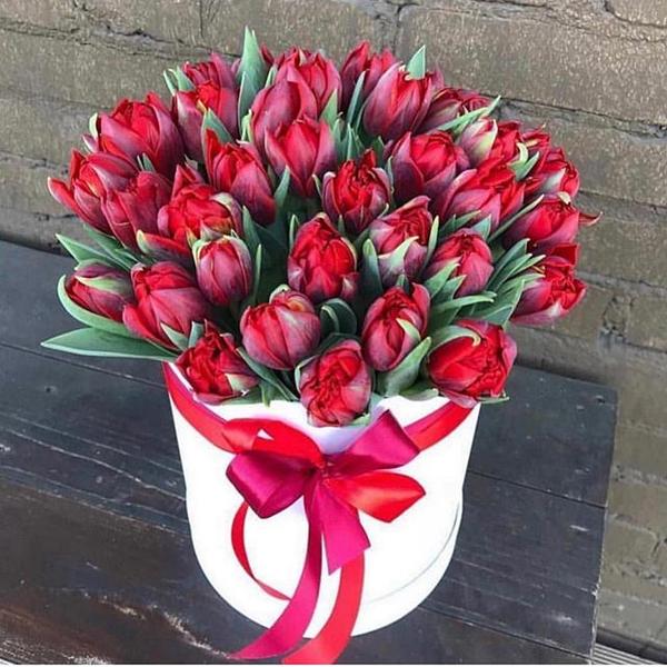 Коробка из 49 красных пионовидных тюльпанов